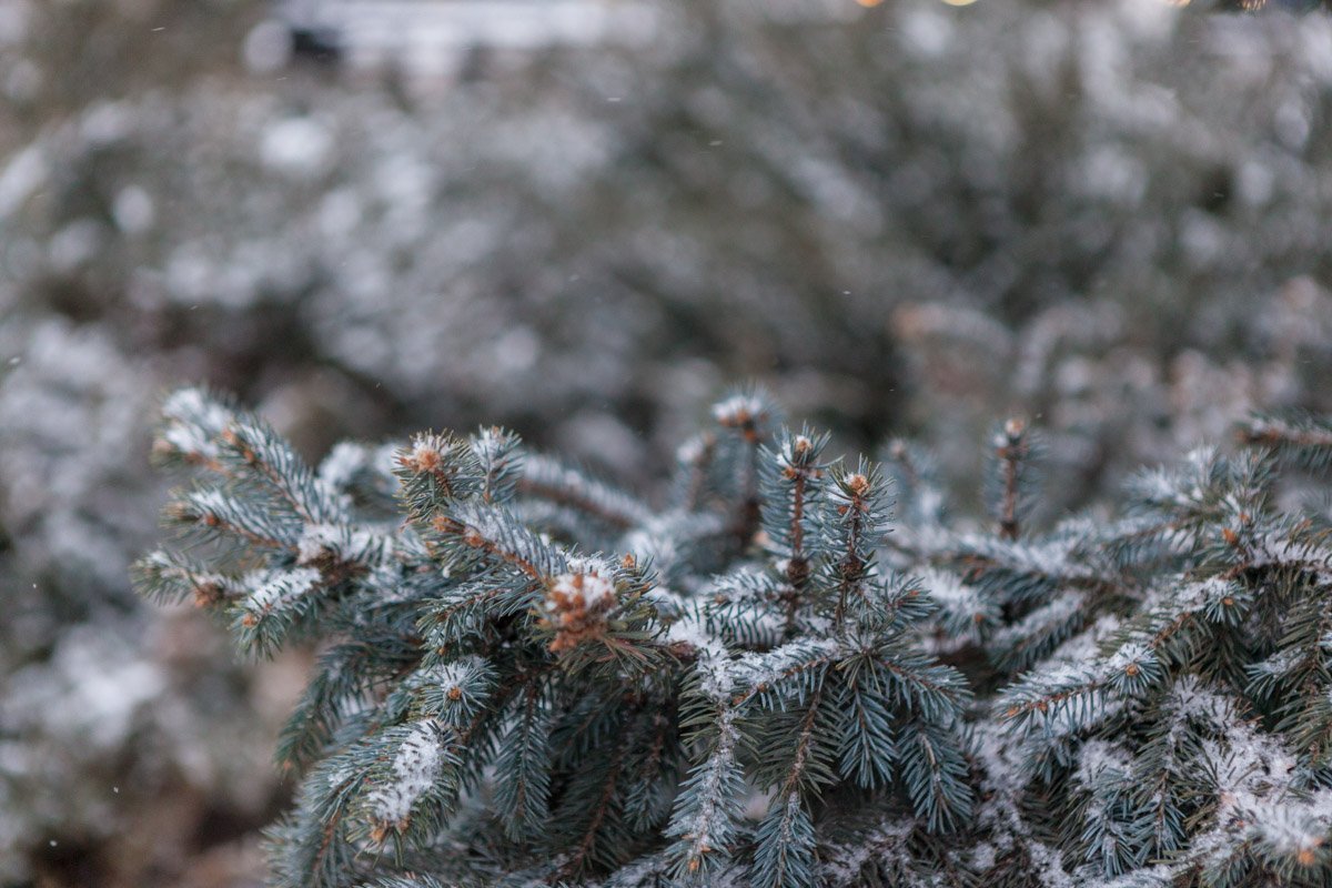 В Днепр пришла зима. Занавес
