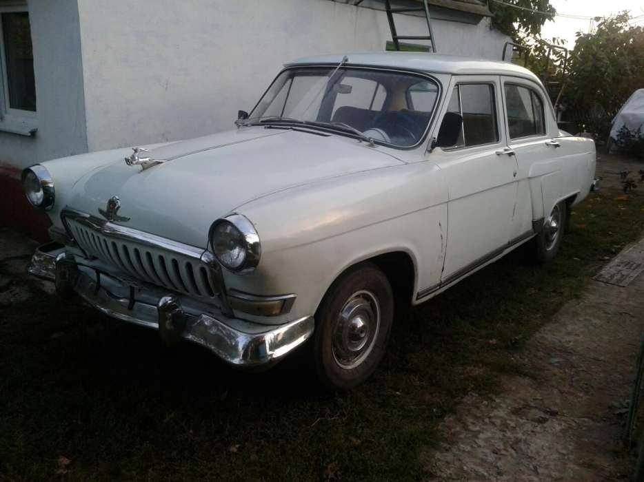 Белая ласточка