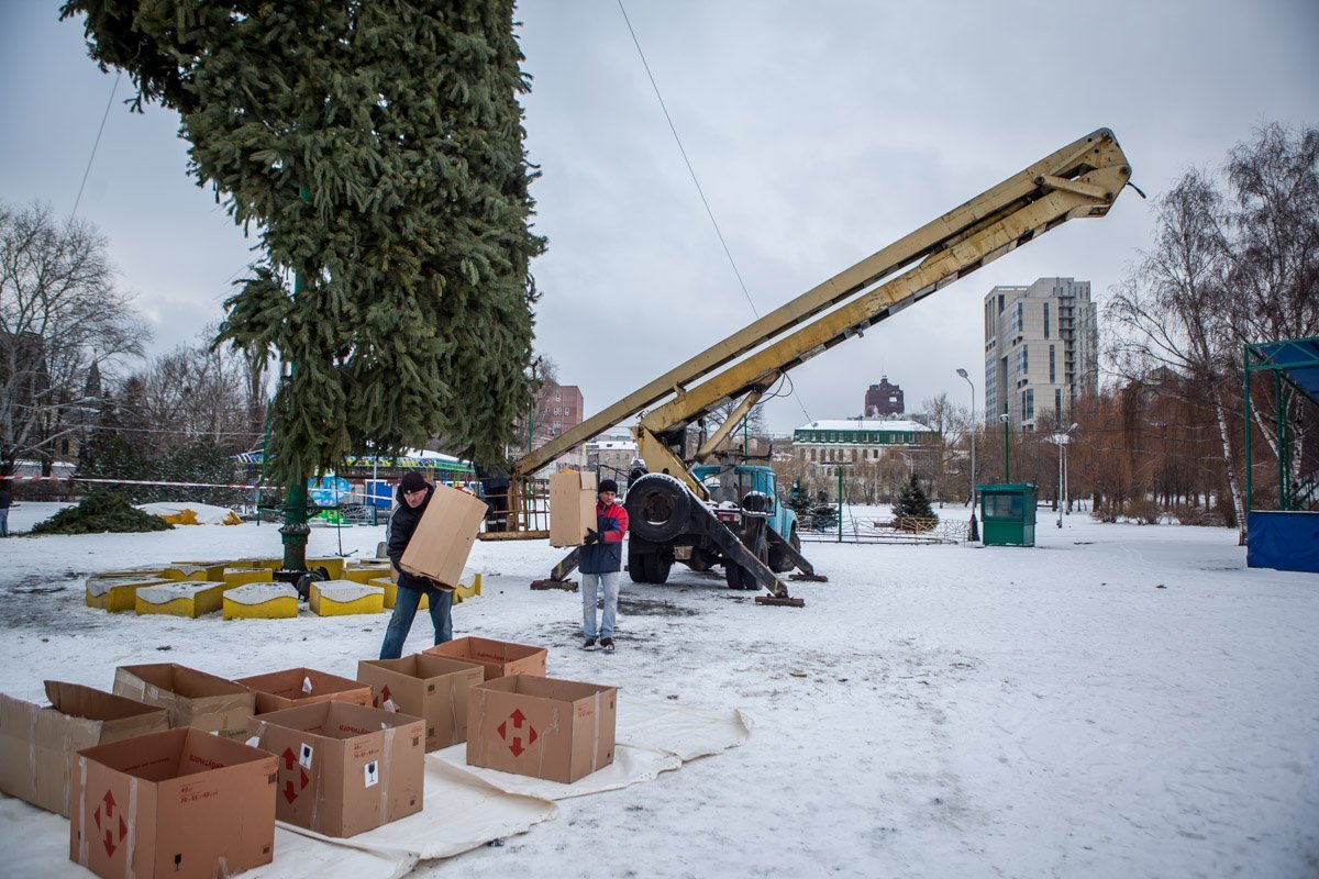 Уже начали разбирать низ елки Уже начали разбирать низ елки