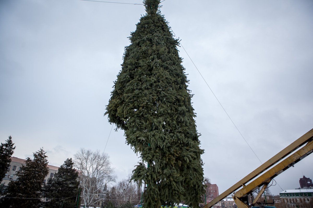 Кто-то откусил символ Нового года Кто-то откусил символ Нового года