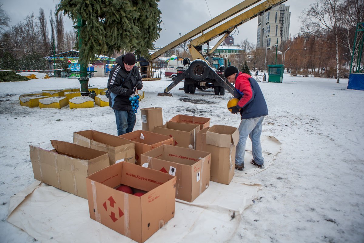 В Днепре работают пункты утилизации елок В Днепре работают пункты утилизации елок