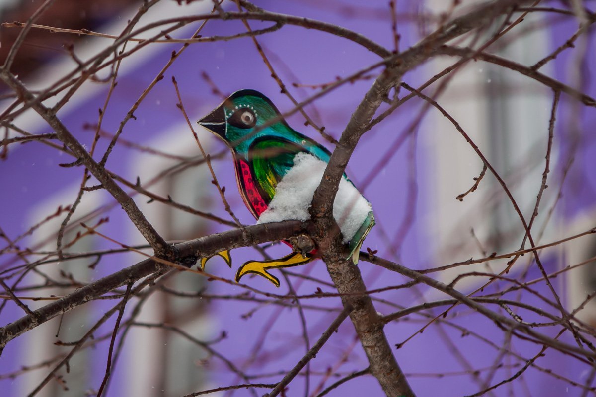 Украсили не только дом, но и территорию вокруг него Украсили не только дом, но и территорию вокруг него