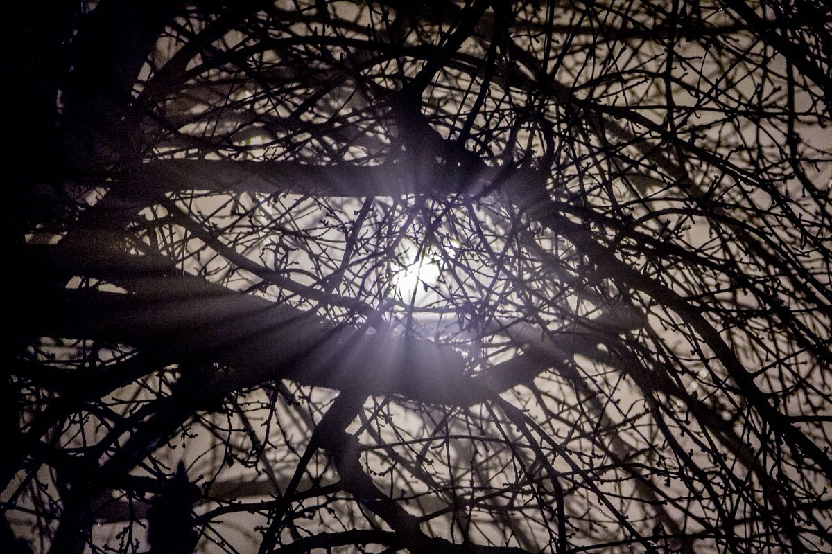 Туман преображает город