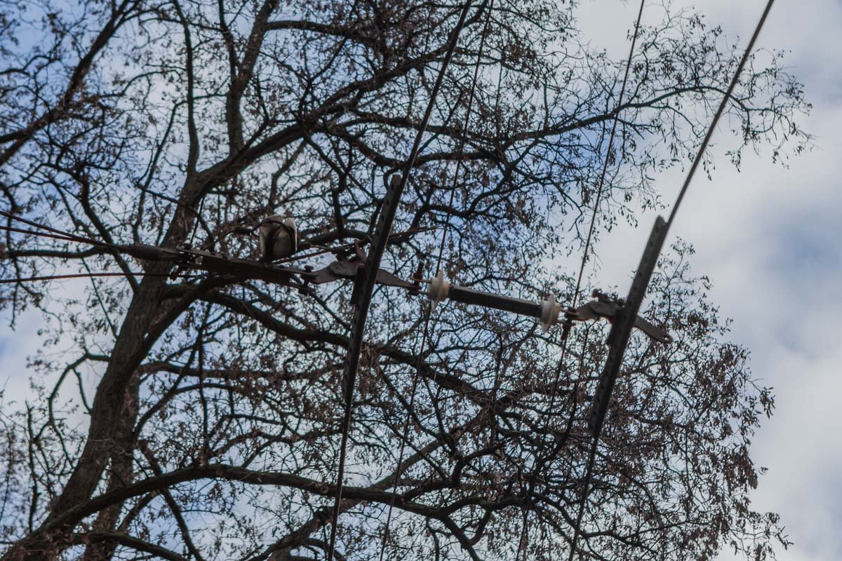 Оборванный элемент контактной линии Оборванный элемент контактной линии