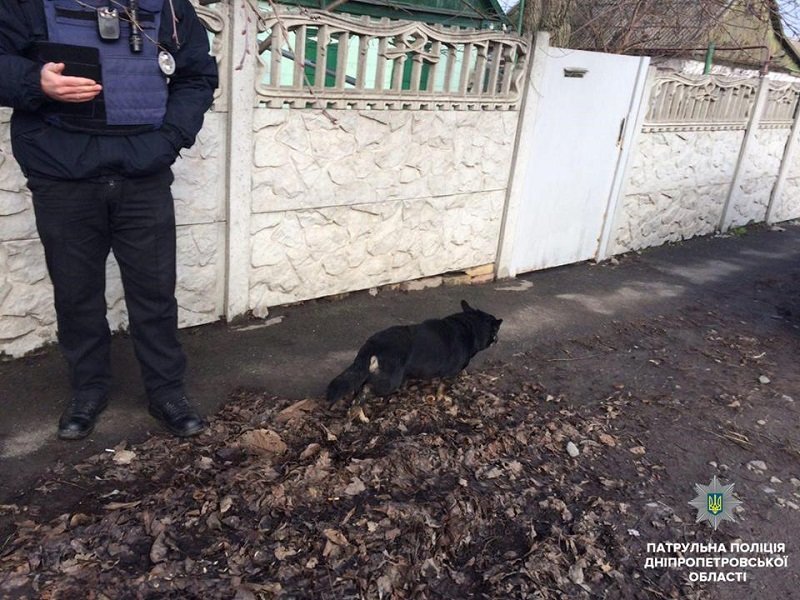 Полицейские спасли собаку из канализации  Полицейские спасли собаку из канализации