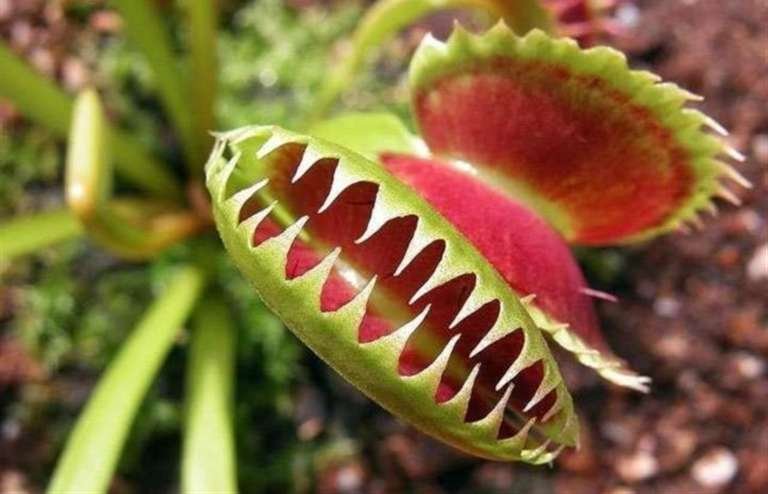 19 января в Днепре: куда пойти сегодня 2