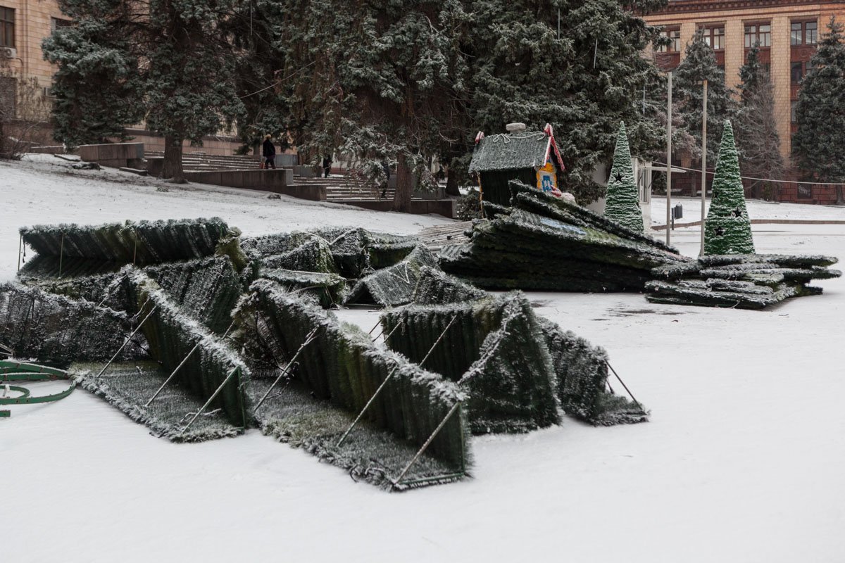 Елка вернется следующей зимой