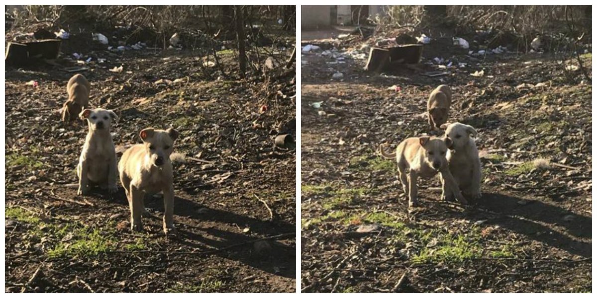 Готовы стать друзьями