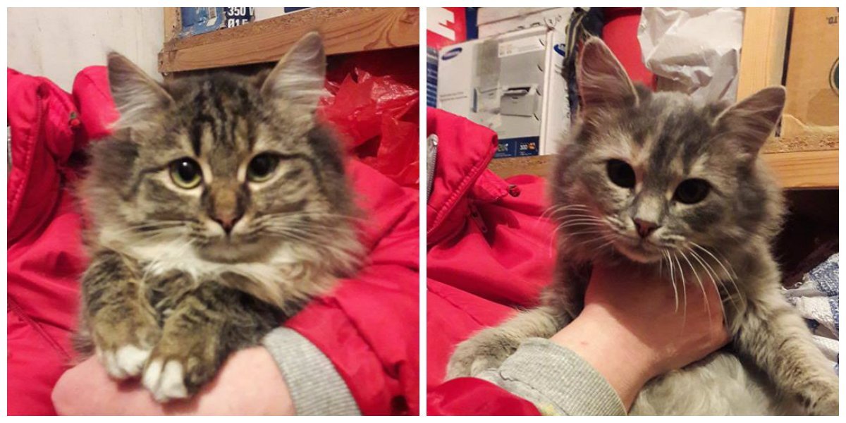 Будут самыми верными