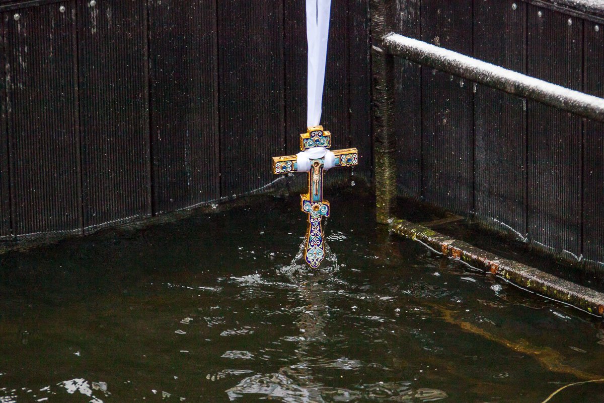 Фото: Андрей Лысенко