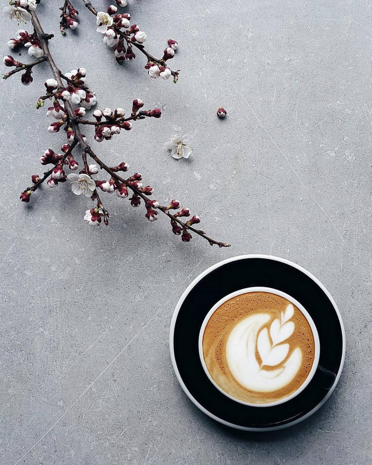 ТОП-6 самых красивых заведений Днепра в Instagram 14