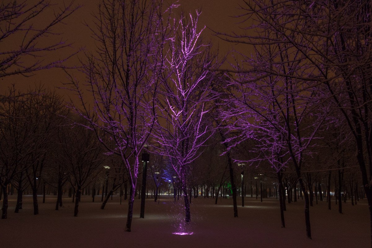 Ночная магия скверов в самом центре города Ночная магия скверов в самом центре города