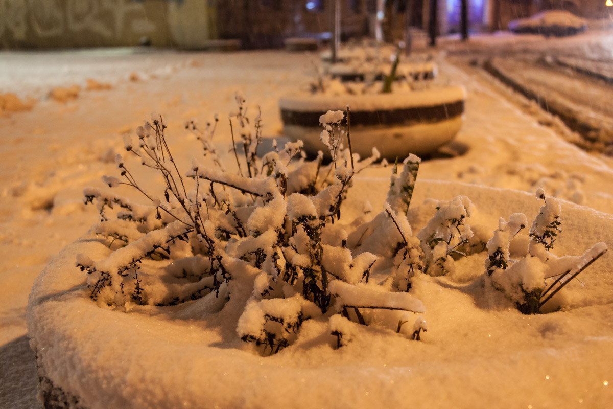 Долгожданный снег засыпал улицы и скверы Долгожданный снег засыпал улицы и скверы
