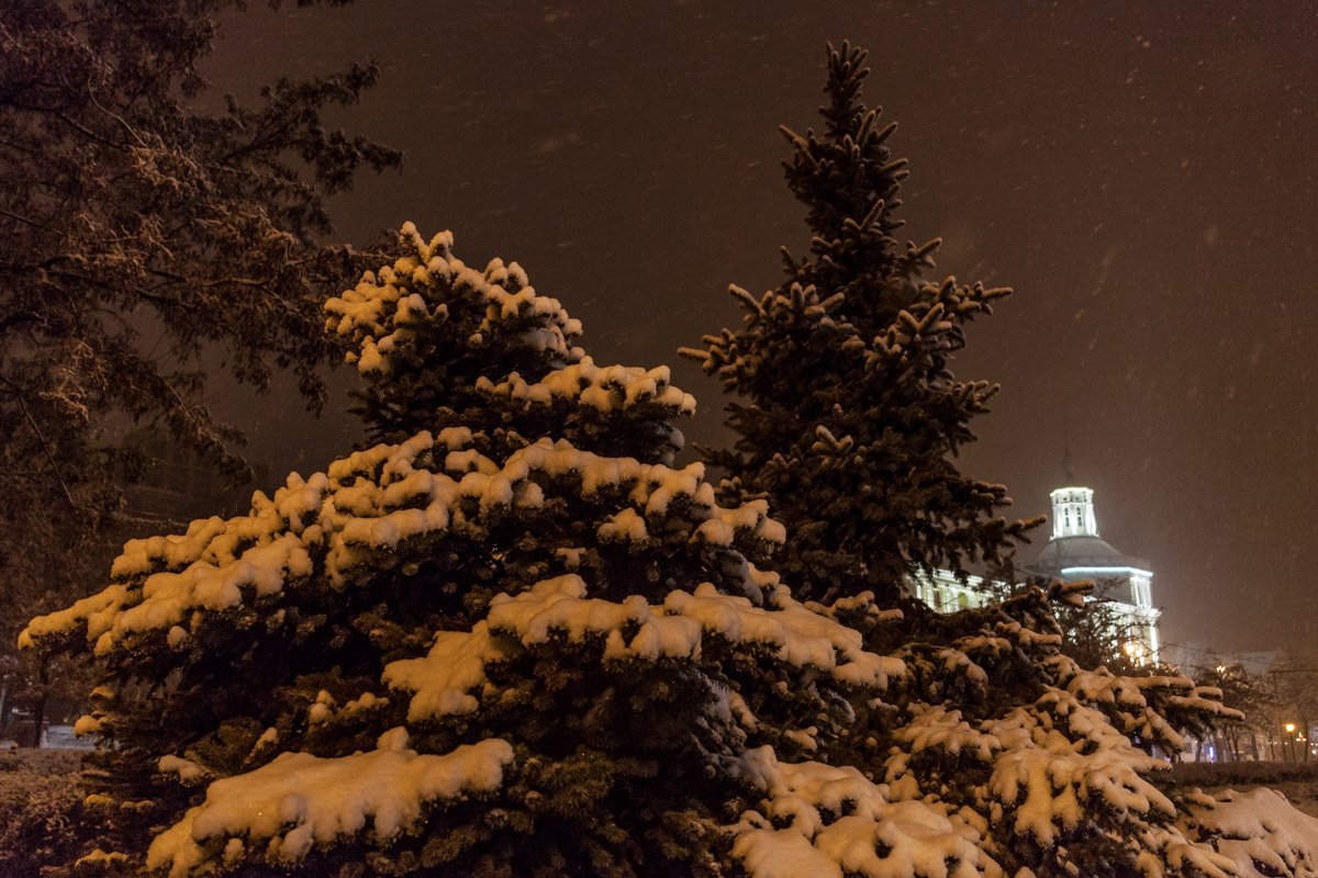 Фото: Андрей Шушпан Фото: Андрей Шушпан