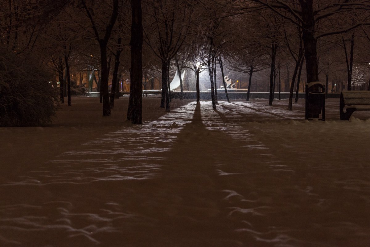Пушистый снег на деревьях, легкий мороз и тишина Пушистый снег на деревьях, легкий мороз и тишина