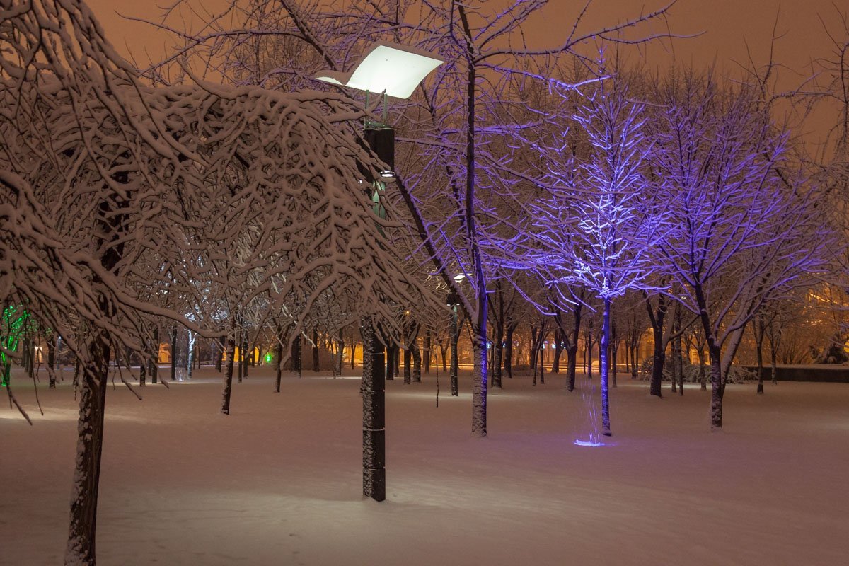 Фото: Андрей Шушпан Фото: Андрей Шушпан