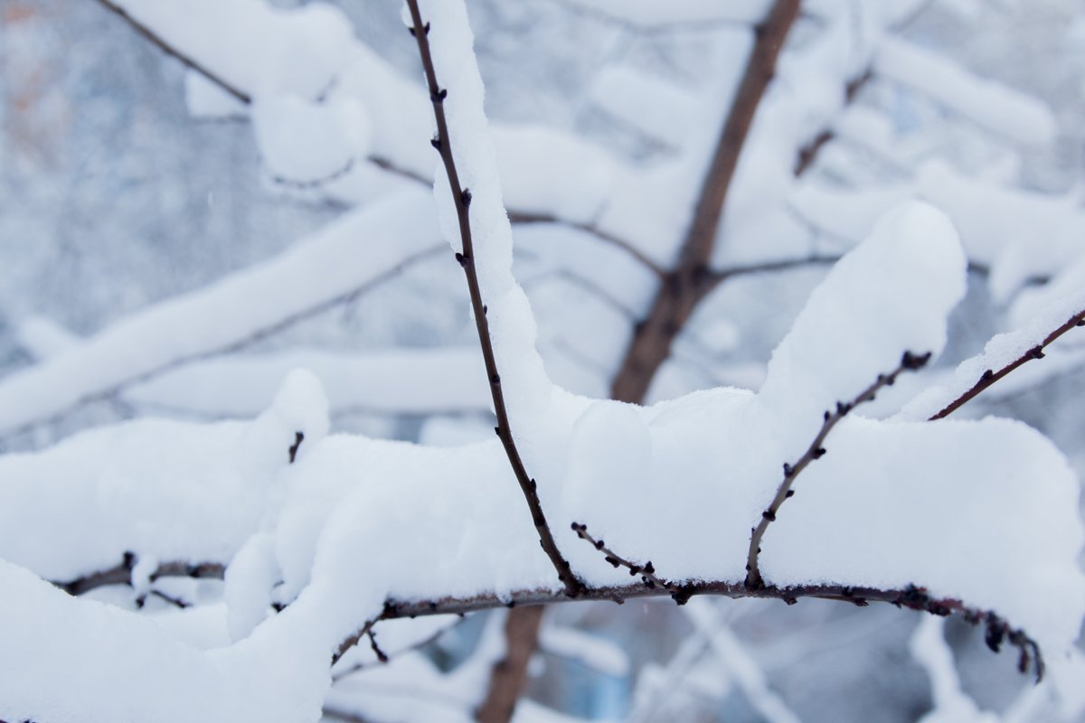 Самое время выйти на улицу