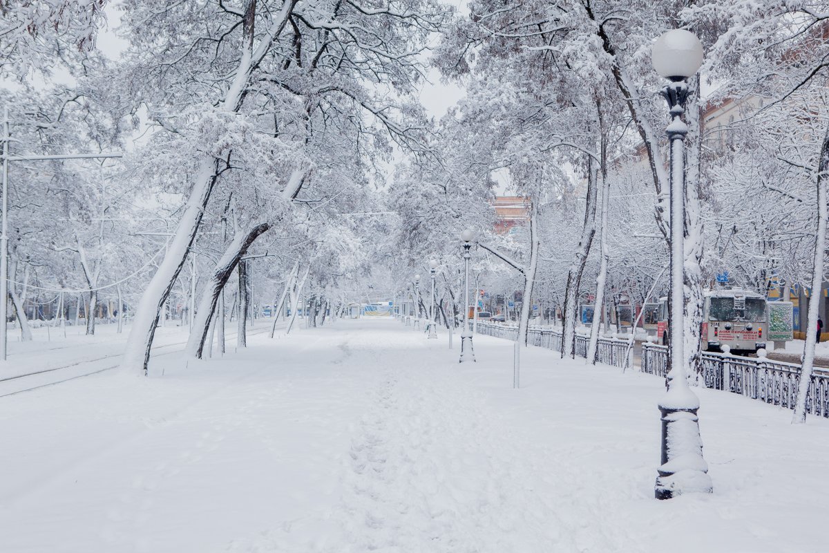 Хроники Днепнарнии