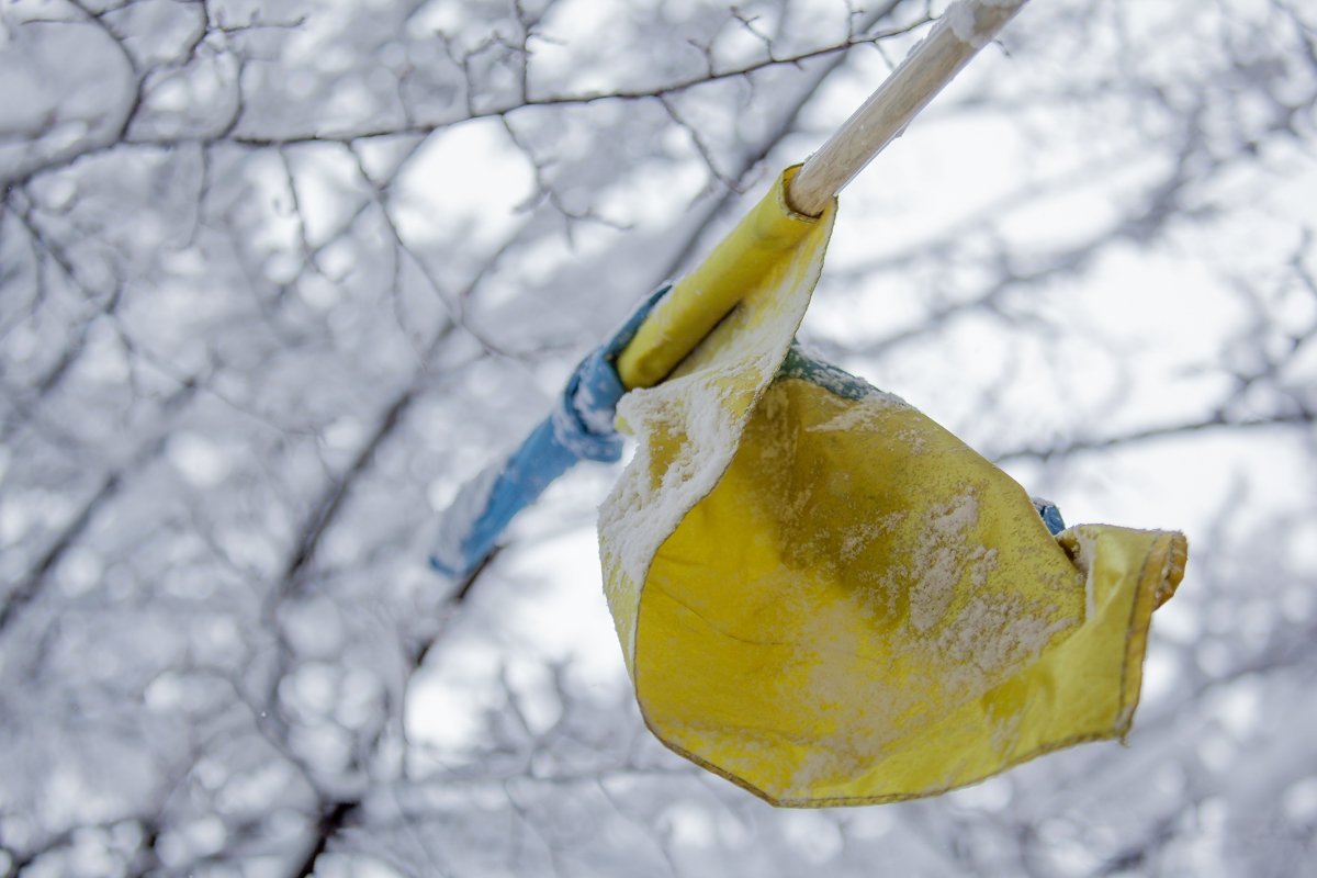 Днепр замело снегом