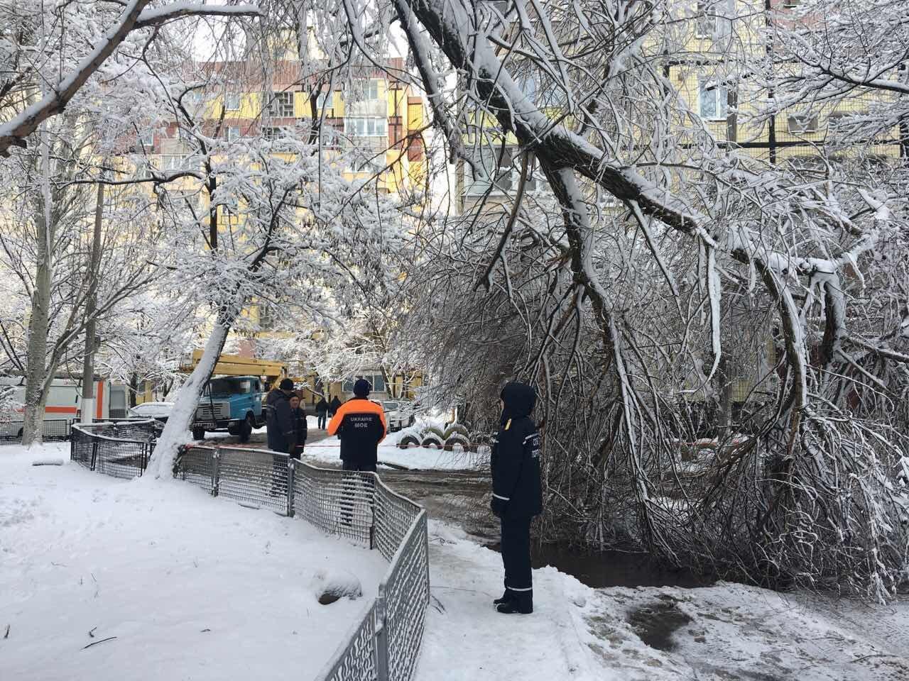 Улица Калиновая, 11, дерево упало на дорогу