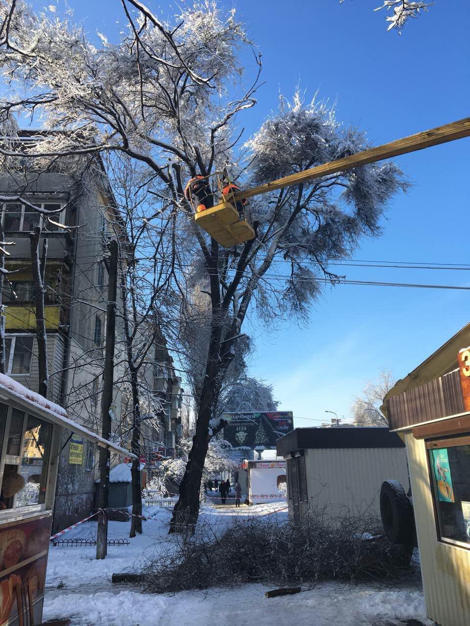 Переулок Вольный, сломалась ветка дерева, спасатели на кране поднимаются к ней