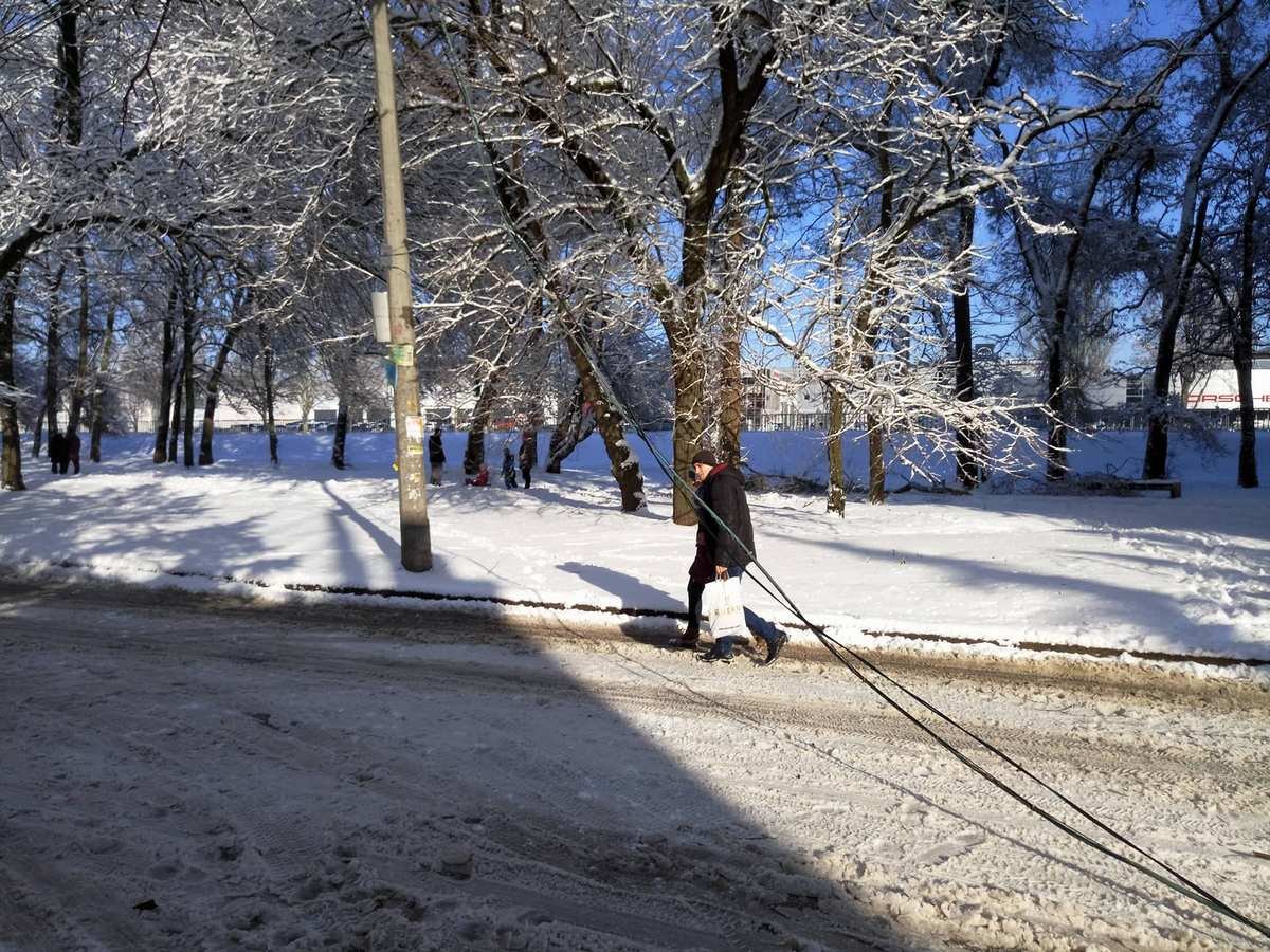 Ветку убрали с дороги спасатели Ветку убрали с дороги спасатели