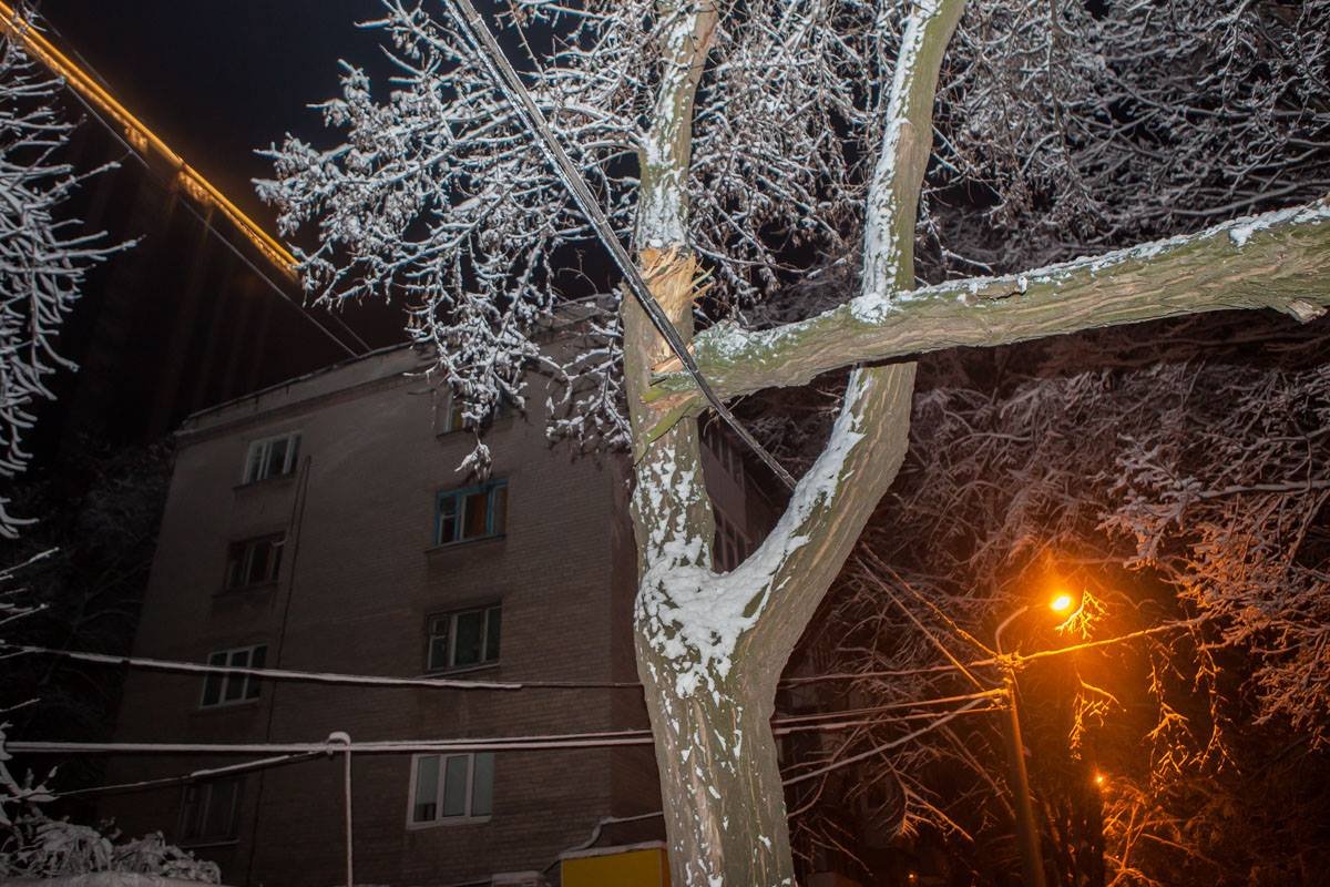 Ветка зацепилась за провода Ветка зацепилась за провода