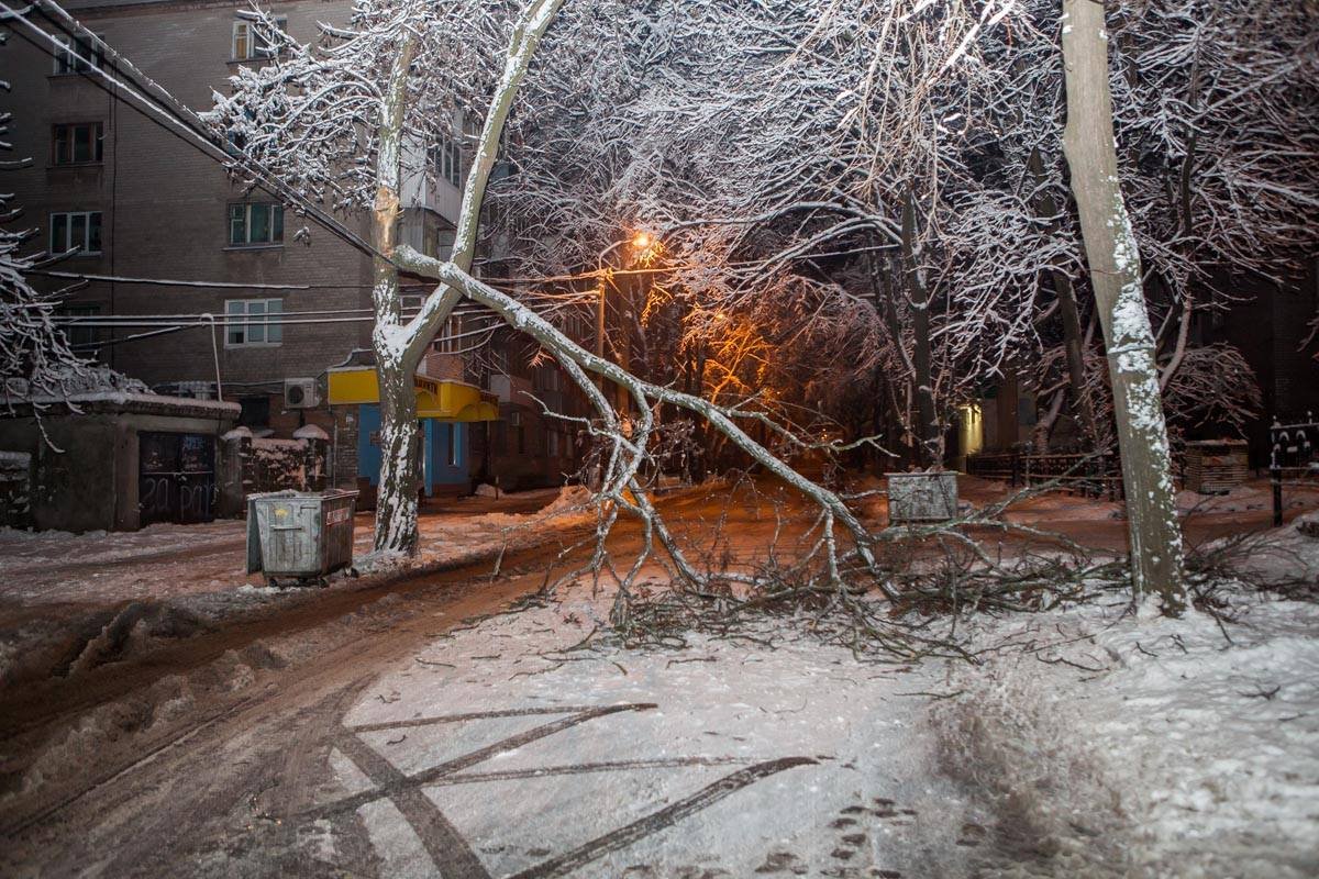 Ветка упала во дворе дома на Героев Крут, 1 Ветка упала во дворе дома на Героев Крут, 1