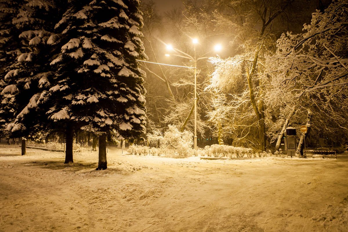 Парк является одним из старейших в городе
