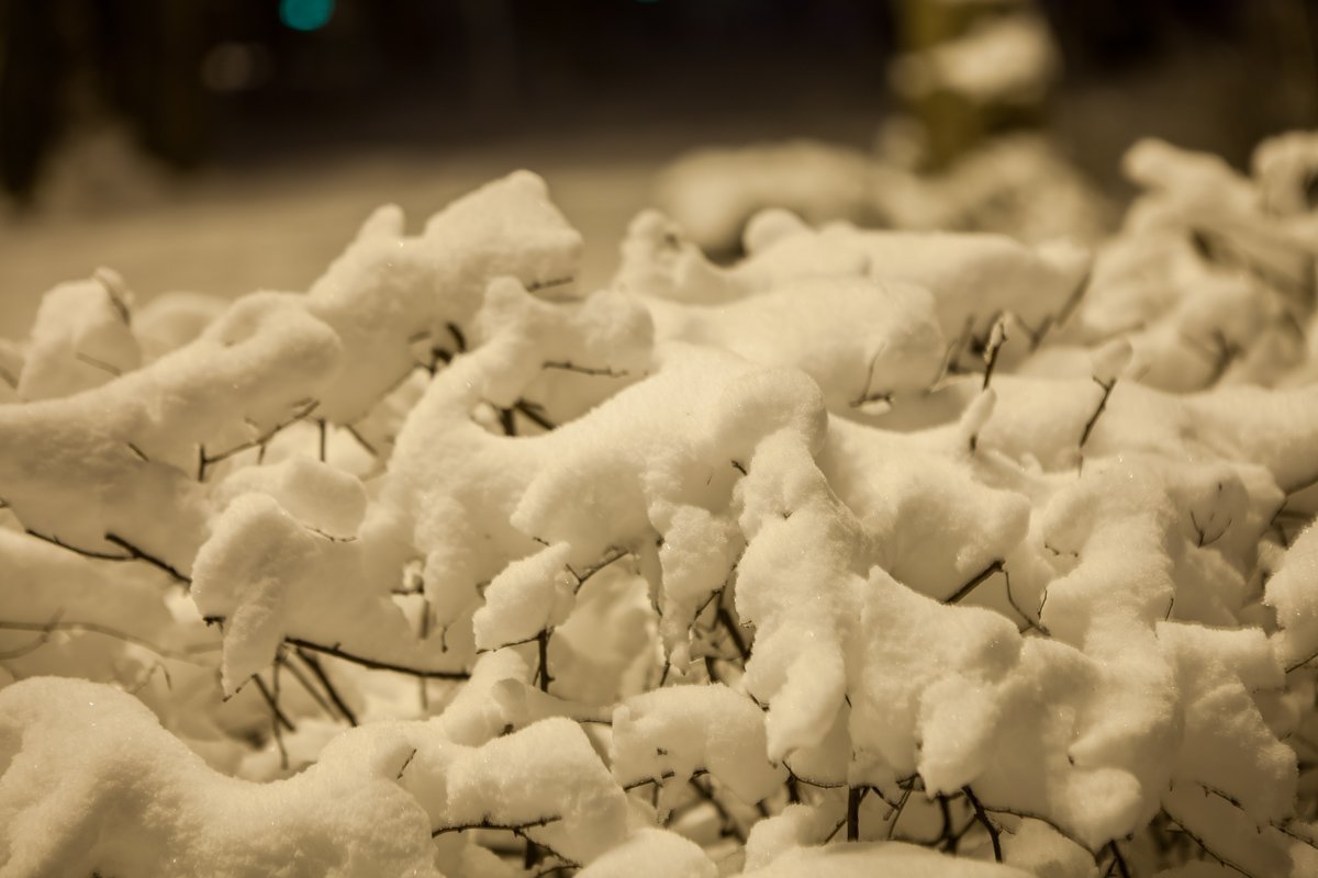 Зима - время морозное, жестокое, но - волшебное