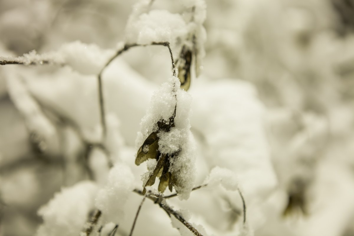 Фото: Евгений Ошарин