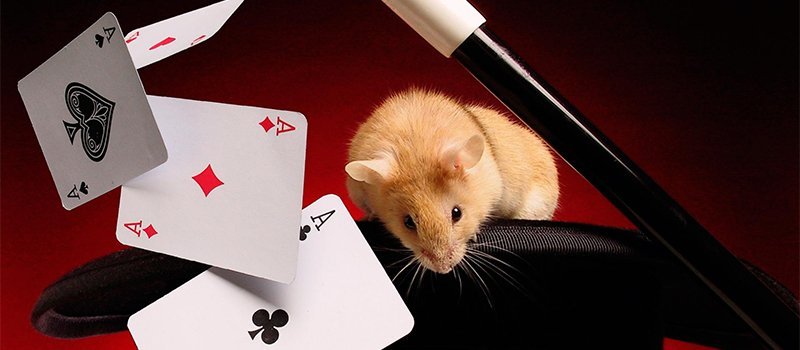 23 января в Днепре: куда пойти сегодня 3