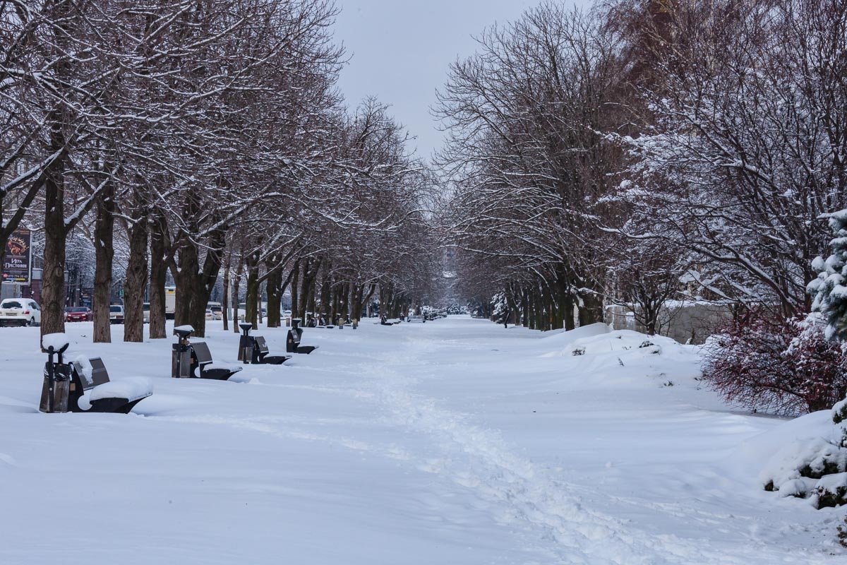 Спасибо тем, кто первыми протаптывают эти дорожки 