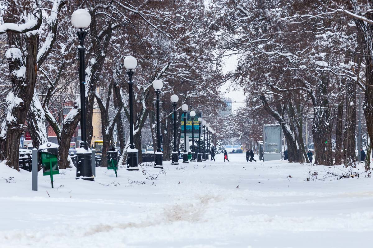 В Днепре и области спасатели борются с последствиями непогоды