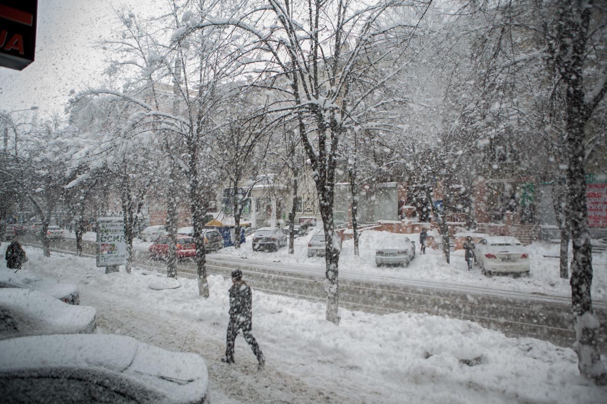 Снег тяжелым одеялом ложился на деревья Снег тяжелым одеялом ложился на деревья