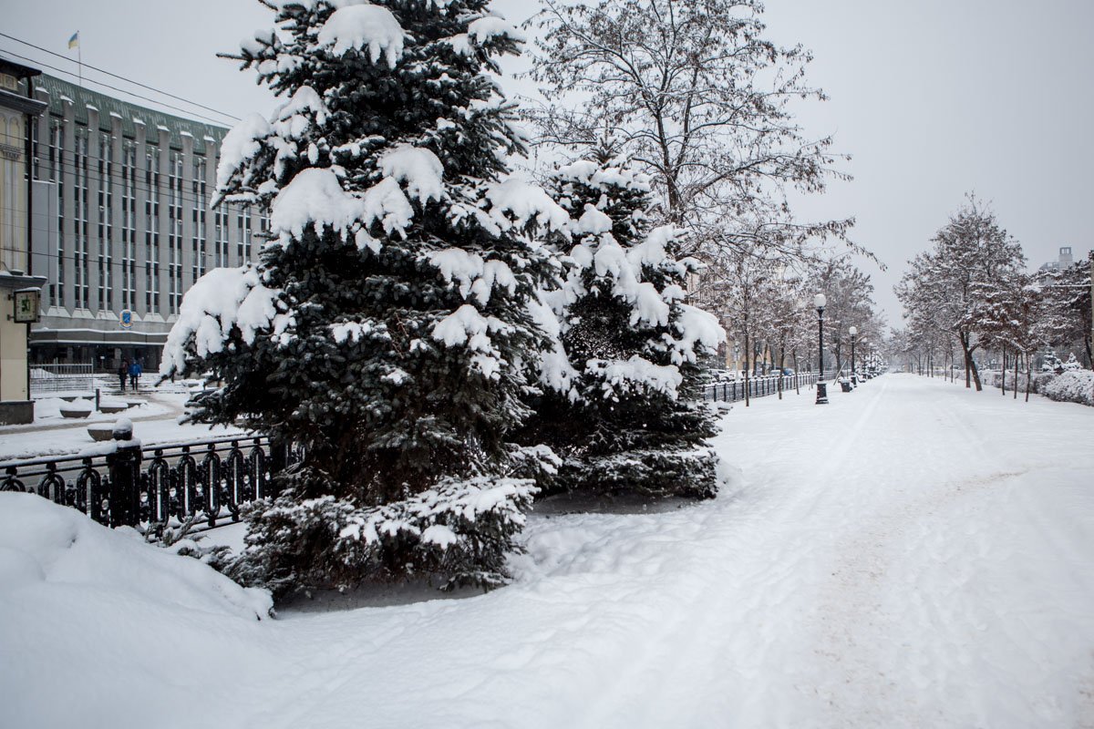 В будний день аллеи города пустуют В будний день аллеи города пустуют