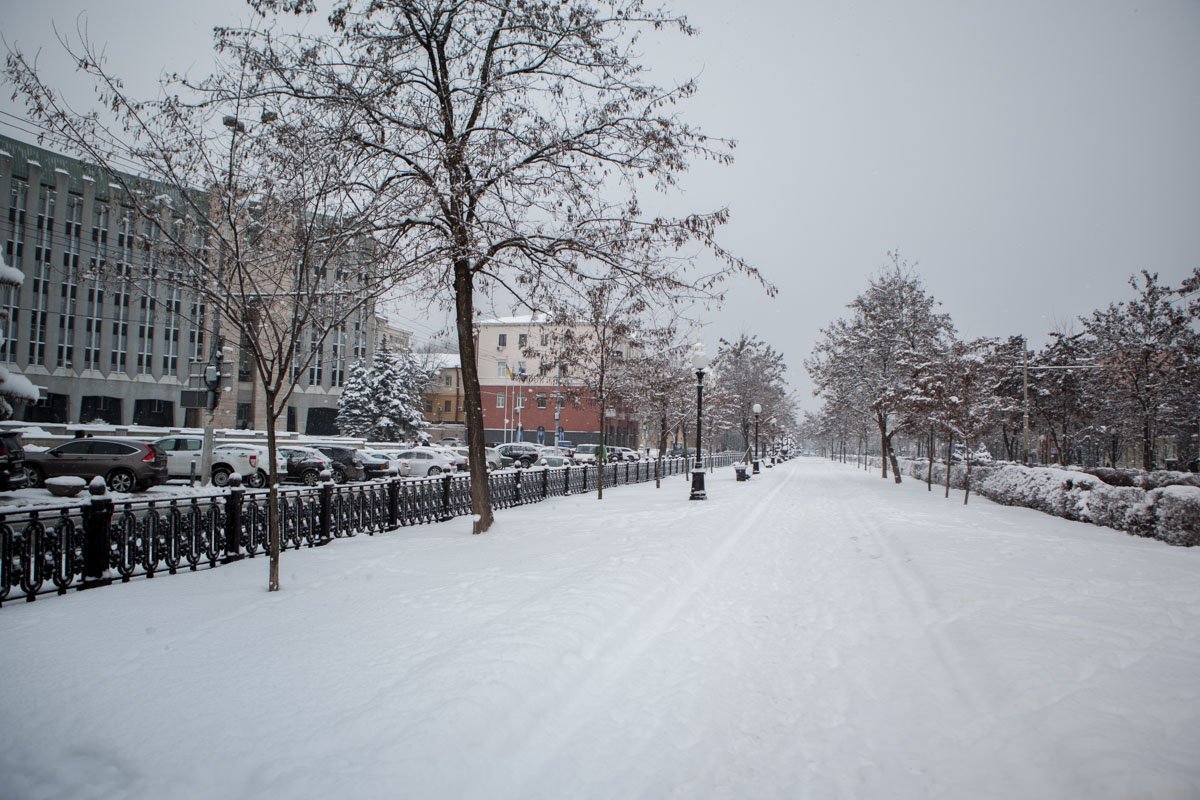 Прекрасно и здорово гулять по снегу, если, конечно, не нужно на работу Прекрасно и здорово гулять по снегу, если, конечно, не нужно на работу
