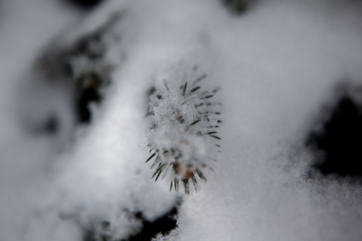 Фото: Евгений Ошарин Фото: Евгений Ошарин