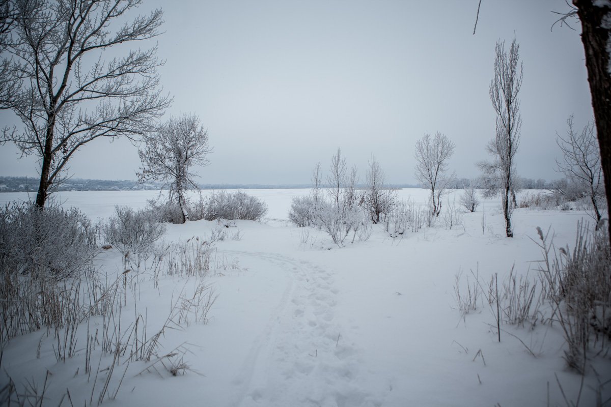 Живописная зима Живописная зима