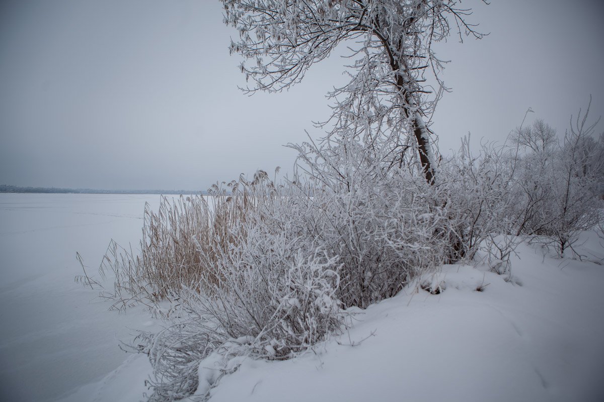 Фото: Евгений Ошарин Фото: Евгений Ошарин