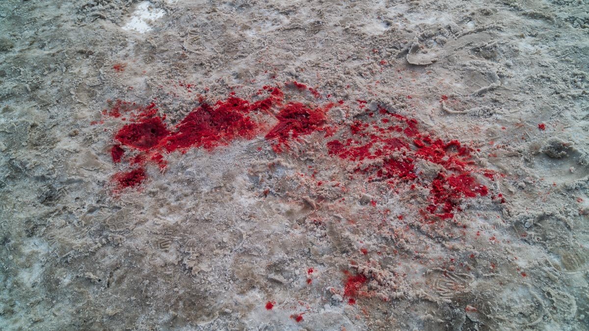 Следы крови были заметны невооруженным глазом 