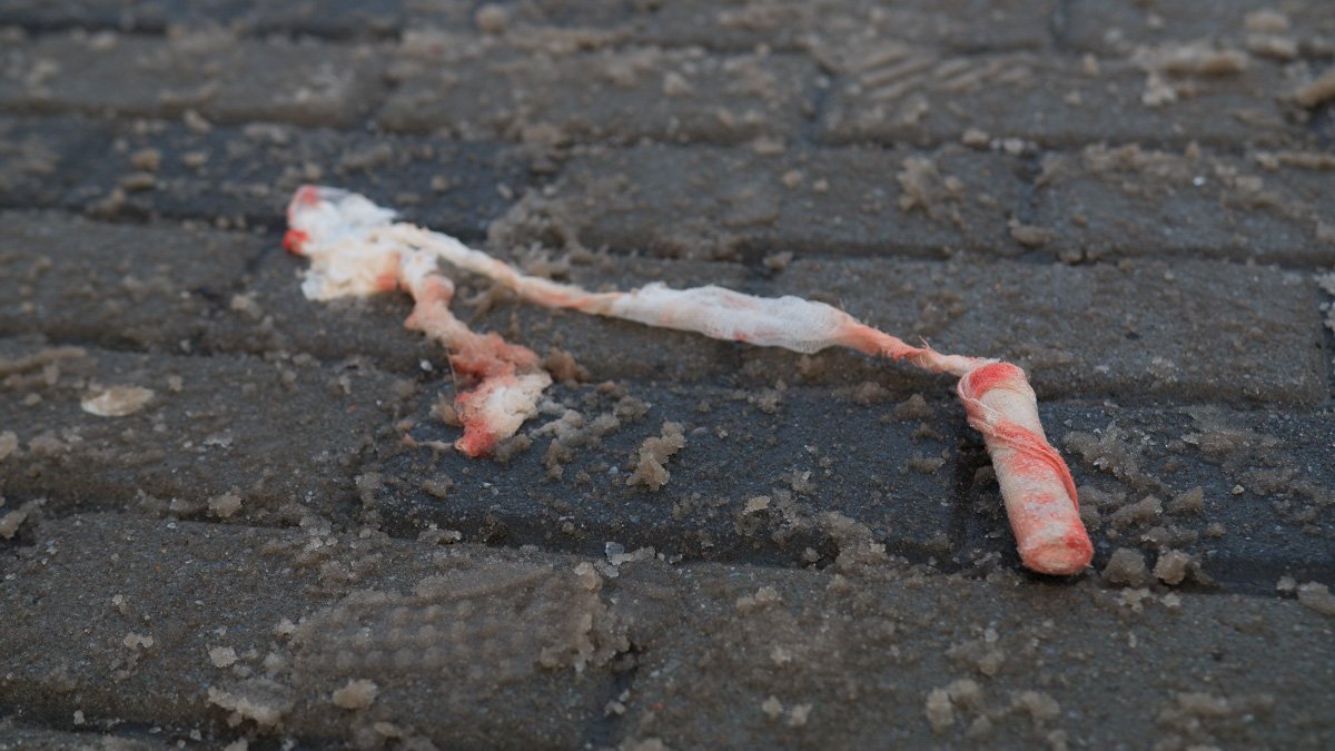 Фото Дениса Чубченко