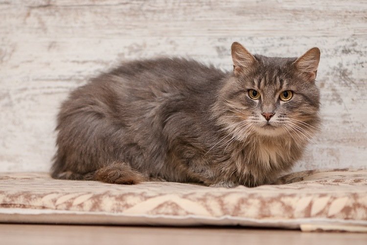 Спокойствие и харизма - это Тихон Спокойствие и харизма - это Тихон