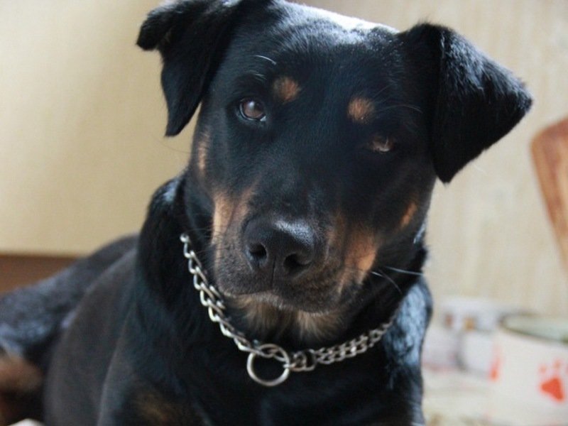 Будто заглядывает в самую глубь души Будто заглядывает в самую глубь души