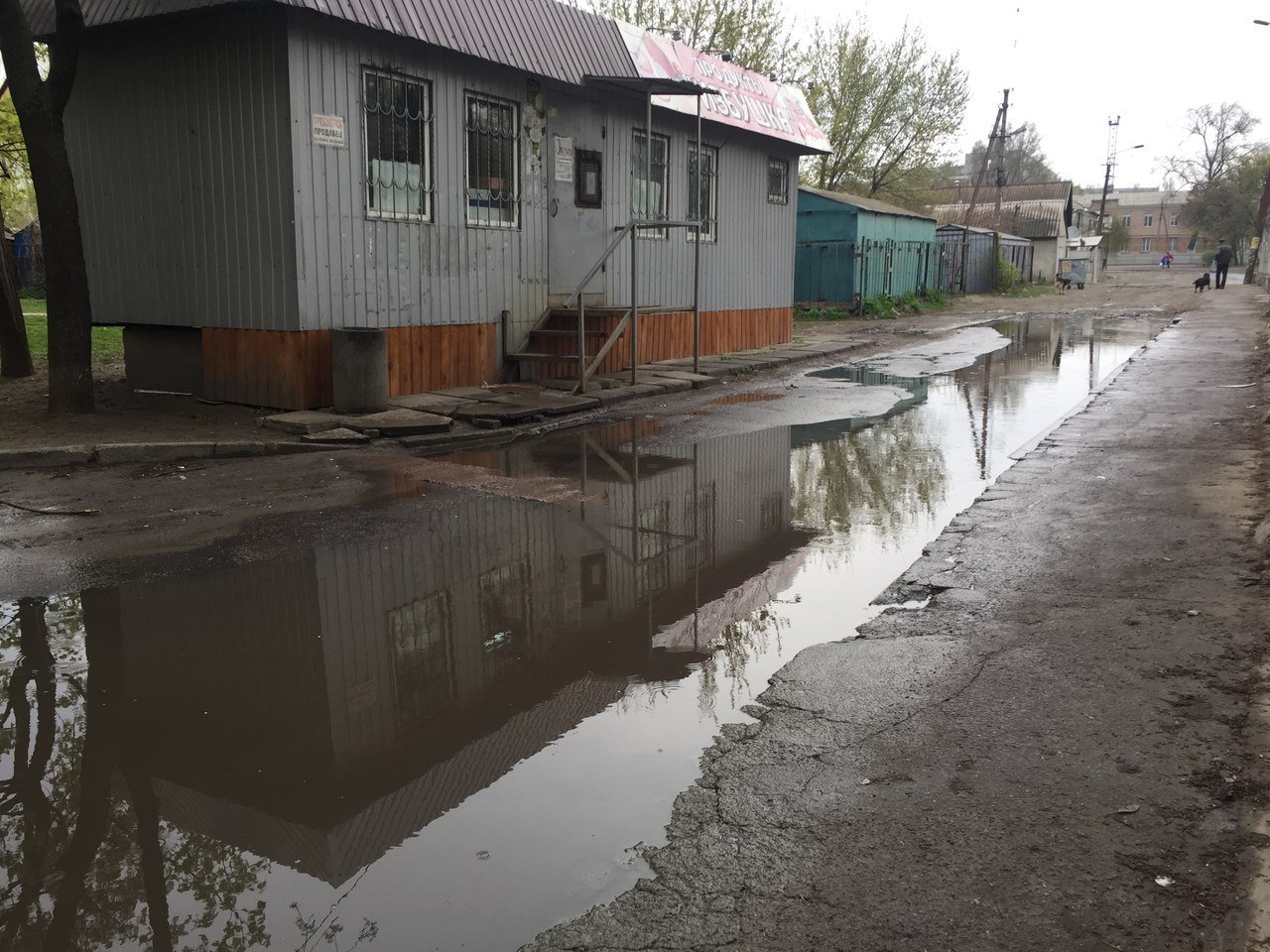 Проснулось и затопило