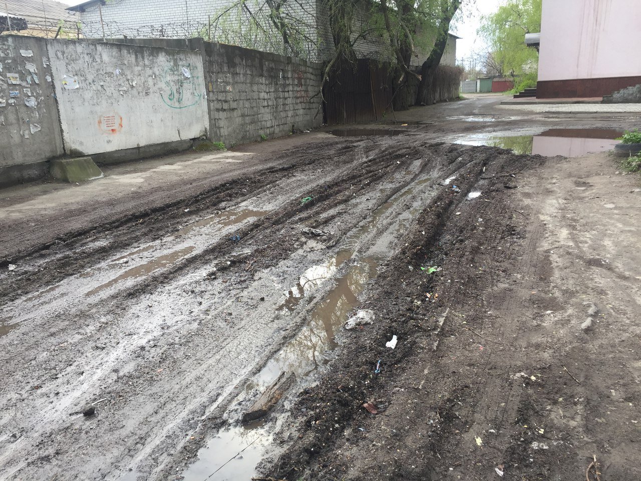 Чистые дворы 