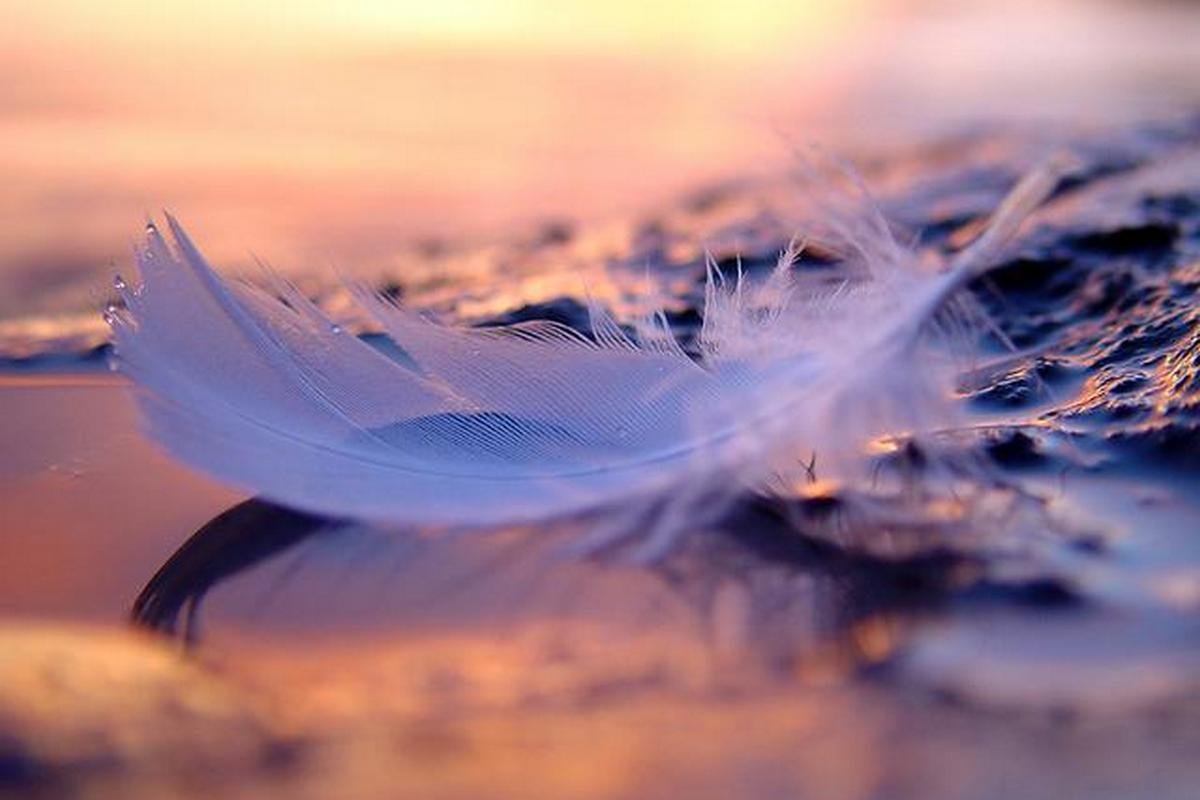 «Ангелы так близко» – это неспешные лирические зарисовки о жизни «Ангелы так близко» – это неспешные лирические зарисовки о жизни