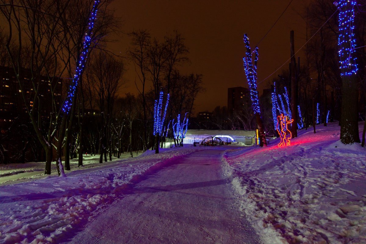 Фото: Андрей Шушпан
