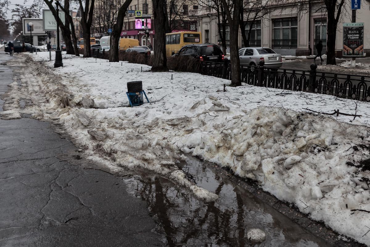 Зато в лужах красиво отражаются голые деревья Зато в лужах красиво отражаются голые деревья