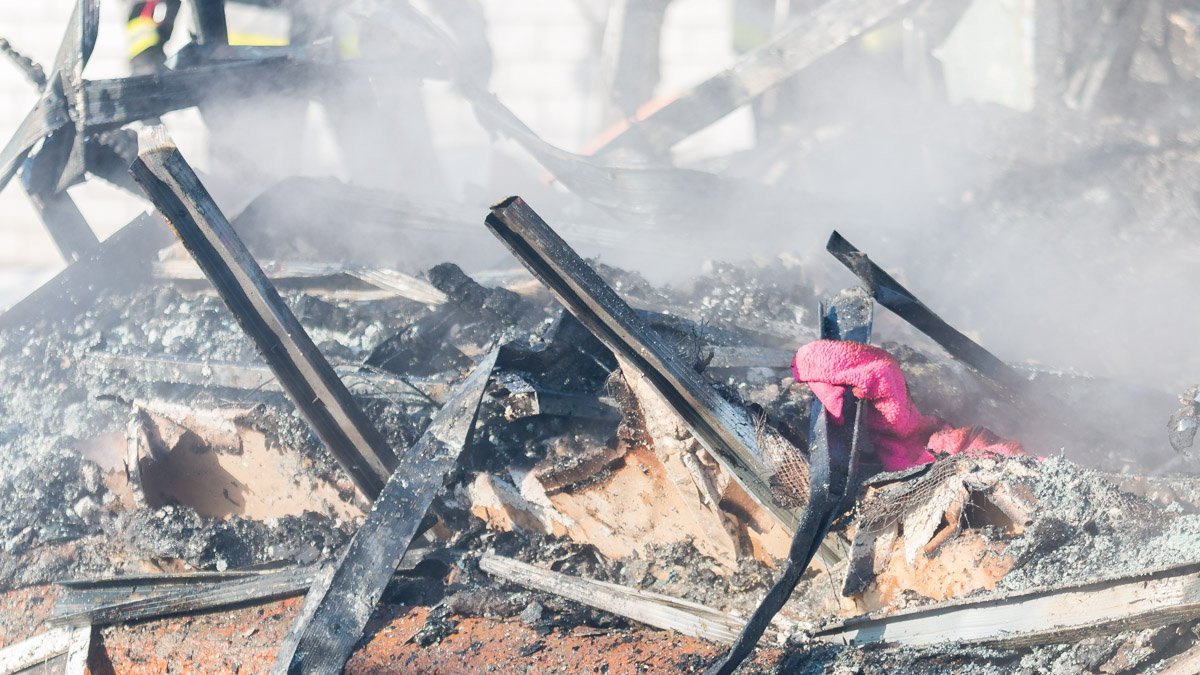 Спасатели нашли останки собаки, сгоревшей в доме Спасатели нашли останки собаки, сгоревшей в доме